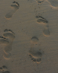 Fototapeta na wymiar Foot prints in sand