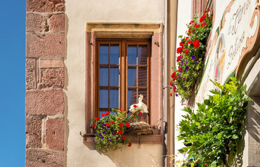 Fototapeta na wymiar Riquewihr, France, Alsace Region