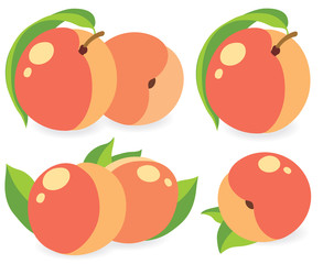 Peaches vector illustration