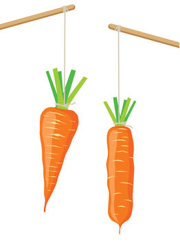 Carrot on a stick, two vector illustrations