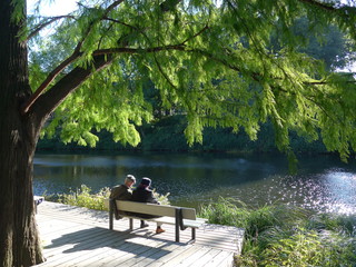 Rear view of a senior couple, sitting on a bench in the park - Bild -
