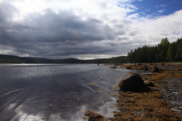 low tide, the rocks on the beach