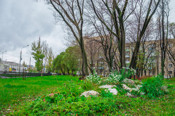 Аллея в парке