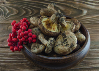 Mushrooms and rowan