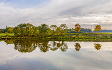 reflection of trees in river tauber