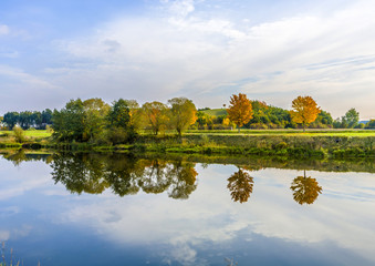 reflection of trees in river tauber