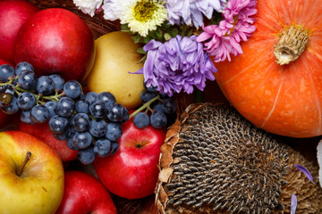 Group of natural healthy organic autumnal fruits and vegetables