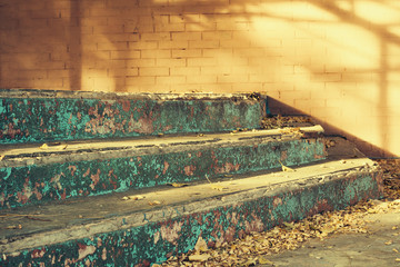Old concrete steps and fallen leaves in sunlight outdoors closeu