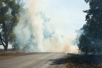 Smoke from the fire at the road