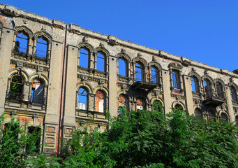 Obraz premium Dilapidated building in thicket
