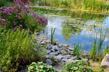 herbstlicher Gartenteich