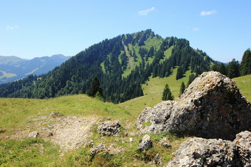 Allgäuer Bergwiese bei Immenstadt