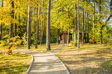 Аллея с осенними деревьями