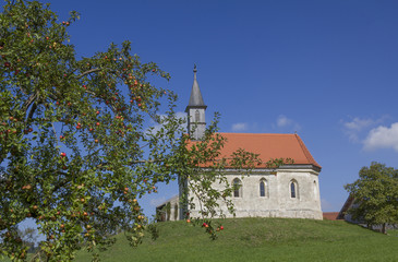 Kapelle auf dem Hügel, Apfelbaum mit Früchten