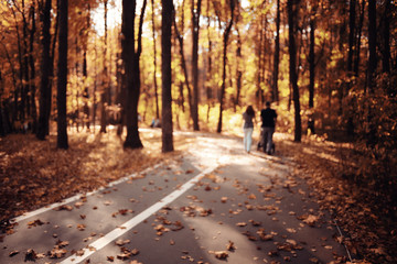 autumn landscape in nature