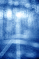 unfocused nature background bokeh