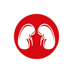 Human Kidney. Single flat icon. Vector symbol.