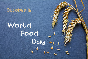 World Food Day, October 16, chalkboard with cereal and text