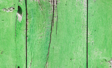 Holz Grün Farbig Bretter Planken Latten Hintergrund Leer