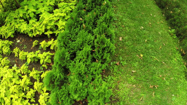 Flower Garden in city park