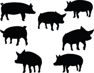 pig silhouette