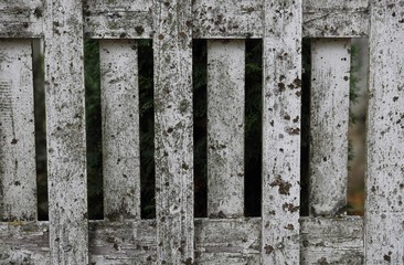 White wooden fence
