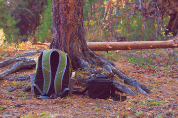 backpack and bag on ground in  forest