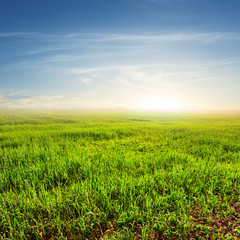 Obraz premium sunset over a green rural fields