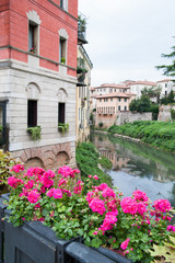 Fototapeta na wymiar Flowered vase of geraniums in the balcony of San Paolo bridge and the old stone San Michele bridge in the background