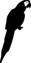 Naklejka premium Parrot silhouette
