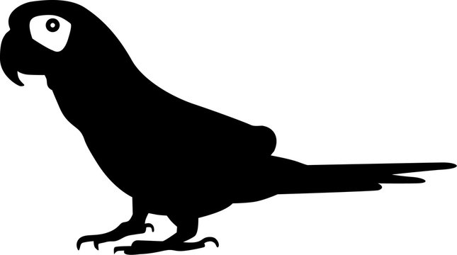Small Parrot Silhouette