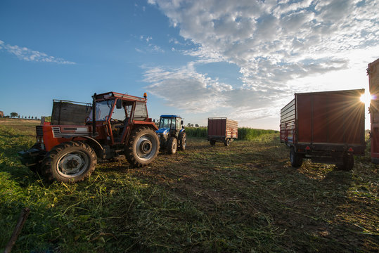 tarlada hasat yapan traktörler