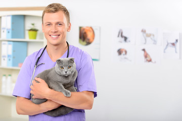 Positive vet examining a cat 