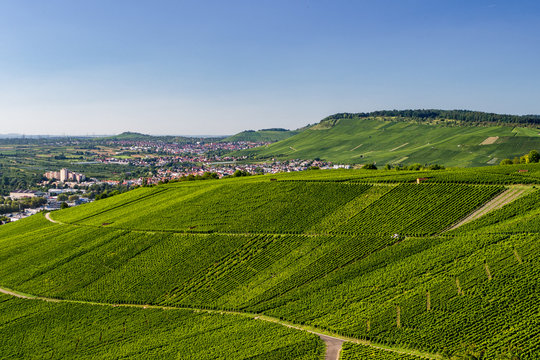 Weinberge im Remstal