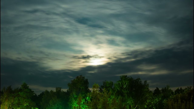 Night moon rises on the horizon and trees on the background of