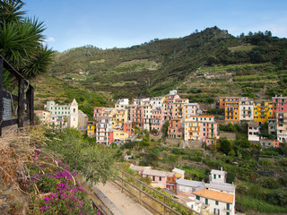 Obraz premium Manarola, Cinque Terre with its vineyards and coastal path. Where Sciacchetra is made.