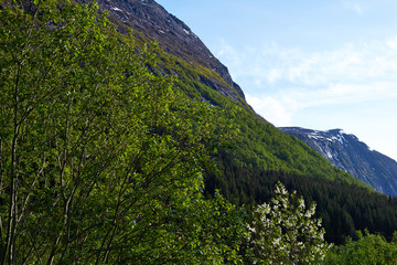 Obraz premium mountain in norway