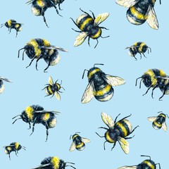 Bumblebee on a light blue background. Watercolor drawing. Insects art. Handwork. Seamless pattern