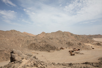 Desert nature in egypt travel