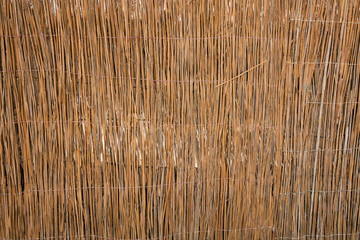 Nature wall shack texture Egypt location 