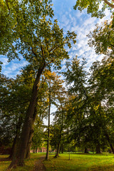 Am Doberaner Münster