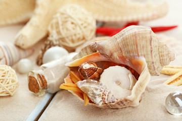 Beautiful sea composition with shells close up