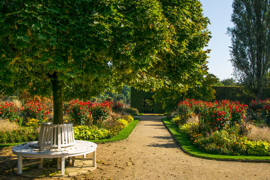 road in the beautiful garden