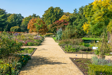 Autumn landscape botanic garten