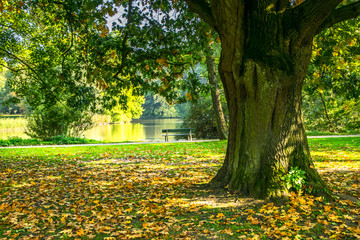 Autumn landscape