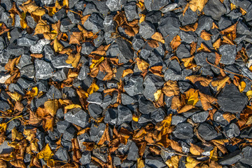 autumn background  leaves and stone