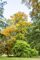 Am Doberaner M&uuml;nster