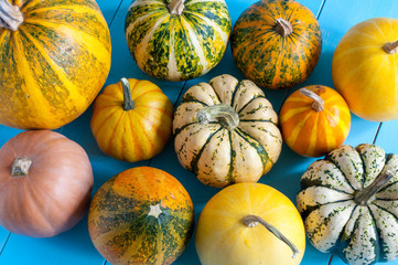 Colorful pumpkins on blue wooden table. Top view, autumn harvest