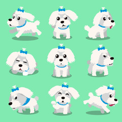 Cartoon character maltese dog poses