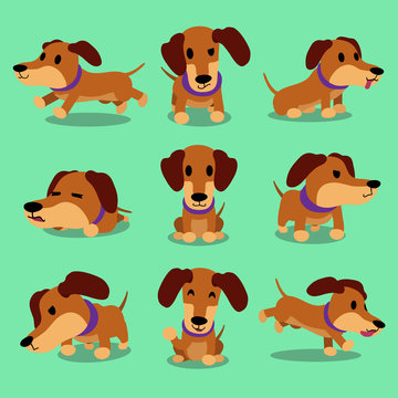 Cartoon character dachshund dog poses